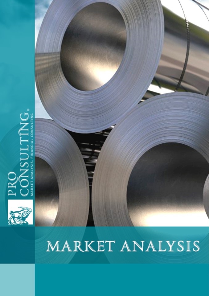 Ukrainian stainless and instrumental steel market research report. 2018